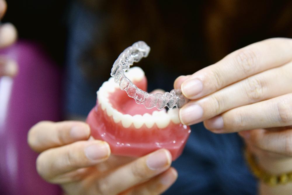 invisalign with mouth model | invisalign lakeville mn